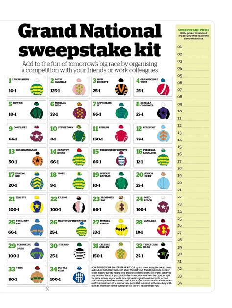 Grand National Sweepstake Kit .